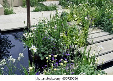 Calm And Peaceful Flower Planting With Water Feature In A Modern Garden