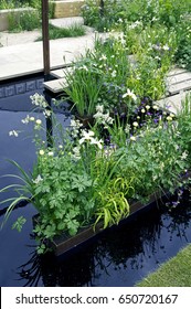 Calm And Peaceful Flower Planting With Water Feature In A Modern Garden