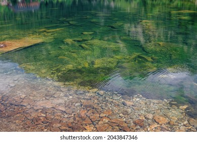 Calm And Pure Mounting Lake Water, Stones And Green Weeds On The Bottom.