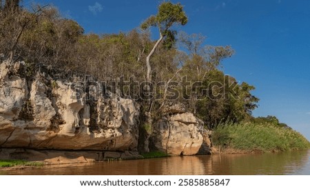 A calm red-brown African river. The coastal limestone cliffs are eroded. Trees, green grass on the riverbank. The blue sky. Madagascar. Manambolo river. 
