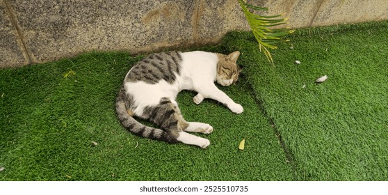 A calm and relaxed cat resting on green artificial grass beside a stone wall. The cat, with a striped tail and white-gray fur, enjoys a peaceful moment outdoors, making a serene and natural scene. - Powered by Shutterstock