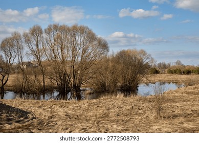 A calm river bend flows through a rural floodplain with leafless trees and dry grass under a blue sky. Ideal for travel, nature, sustainability, climate, and outdoor lifestyle visuals.