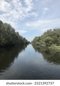 A calm river or canal bordered by dense green mangrove trees on both sides, extending into the horizon under a partly cloudy sky. The reflection of the trees and sky shimmers on the water.