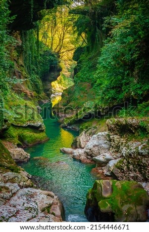 Similar – Foto Bild Fluss, der im Sommer durch den Wald fließt. Natürliche Landschaft im Hintergrund.