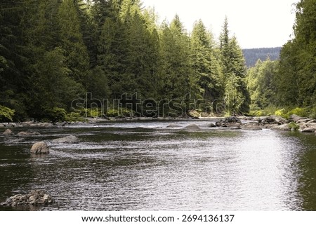 A calm river flows through dense evergreen forest in Snoqualmie, Washington, reflecting soft light and capturing the peaceful beauty of the Pacific Northwest