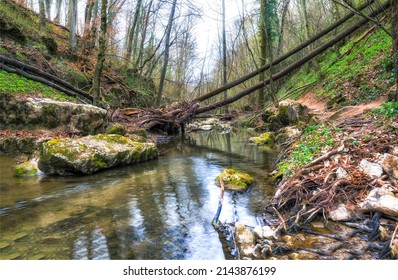 A calm river in the middle of the forest. Cold creek in autumn forest. Forest river creek landscape. Calm creek in forest