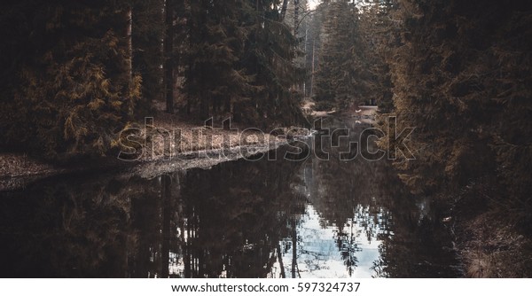 Calm River Park Among Pines Leningrad Stock Photo Edit Now 597324737