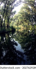 Calm River. Summer Time. Specular Reflection Of Trees.