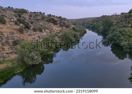 Calm river surrounded by greenery