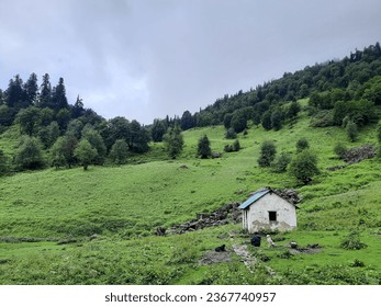 A calm and scenic view of Lamadugh top, a lush green alpine plateau with trees and foggy sky in the view. There is small hut at the last point of Lamadugh trek in Manali, Himachal Pradesh. - Powered by Shutterstock