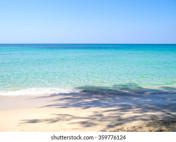 Calm Sea And Shade Of Tree On Beach With Clear Sky