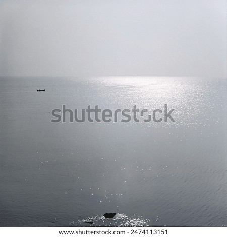 Similar – polaroid shows rear view of a woman in a stiff dress standing by the sea. north sea