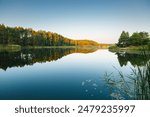 A calm and silent morning at a small lake, forest reflection on the water surface. Location place Small Polissya, Ukraine, Europe. Ecology of nature. Photo wallpaper. Discover the beauty of earth.