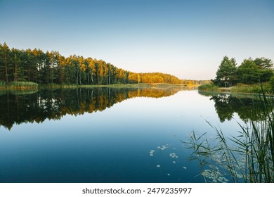 A calm and silent morning at a small lake, forest reflection on the water surface. Location place Small Polissya, Ukraine, Europe. Ecology of nature. Photo wallpaper. Discover the beauty of earth. - Powered by Shutterstock