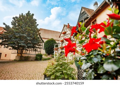 Calm street in a European town Eguisheim showcasing traditional, timber-framed houses decorated with red blossoms against a bright sky - Powered by Shutterstock