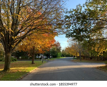 A Calm Street On East Hampton During The Autumn