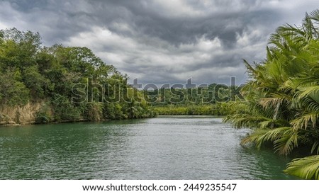 A calm tropical emerald river. Lush thickets of green vegetation, palm trees on the banks. Clouds in the sky. Ripples on the water. Philippines. Loboc River. Bohol Island