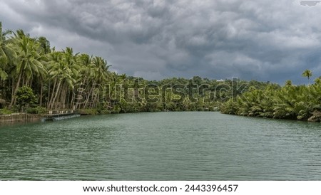 A calm tropical turquoise river. There is a pier near the shore for mooring ships. Thickets of lush palm trees on the banks. Clouds in the sky. Philippines. Bohol. The Loboc River