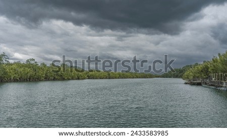 A calm turquoise river. Thickets of green tropical vegetation and palm trees on the banks. A wooden pier is visible near the shore. Clouds in the sky. Philippines. Bohol Island. The Loboc River
