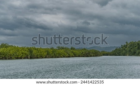 A calm turquoise tropical river. There are impenetrable thickets of green vegetation and palm trees on the banks. Mountains against a cloudy sky. Philippines. Bohol Island. The Loboc River