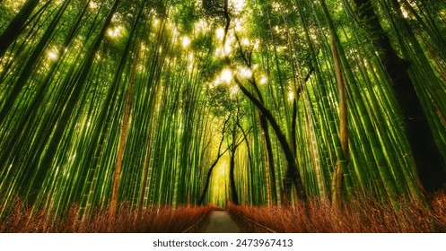 Calm Walk In The Bamboo Grove Of Japan's Arashiyama Bamboo Forest A Calm Pathway Bamboo Grove, Enchanting Bamboo Walkway In Arashiyama Calm Stroll Along Arashiyama. - Powered by Shutterstock