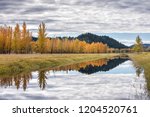 Calm water of the canal reflects the clouds in the sky on an autumn day near Bonners Ferry, Idaho.