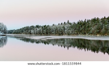 Calm water and reflections from trees and sky. Beautiful silence morning at sunrise, dawn in early winter. Pink colored sky as background, place for text, copy space.