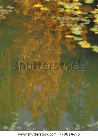 Similar – Image, Stock Photo submerged Lake Forest lake