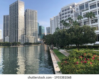 Calm Waters Along Brickell Key