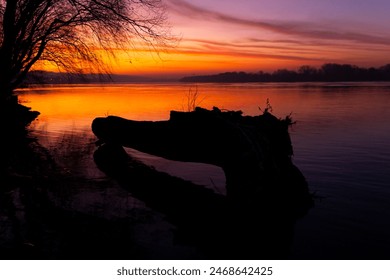 Calm waters of the Danube River reflect the vibrant hues of the sunset,with bare trees silhouetted against the serene dawn sky - Powered by Shutterstock