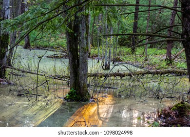 Calm Waters In Grand Traverse County