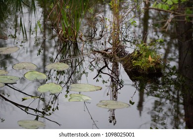 Calm Waters In Grand Traverse County