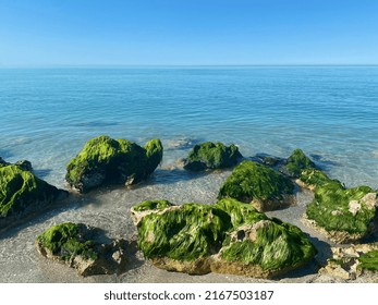 Calm Waters At Venice Beach, Florida