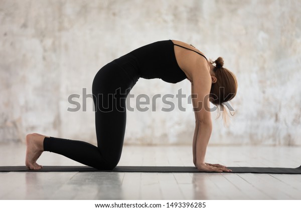 Calm woman in black sportswear practicing yoga,\
standing in asana paired with Cow Pose on the inhale, Cat pose,\
Marjaryasana exercise, attractive girl working out at home or in\
yoga studio