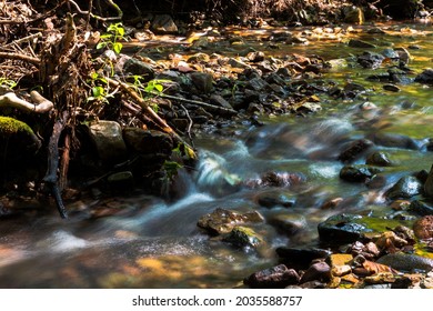 A Calming Brook Running In The Summertime