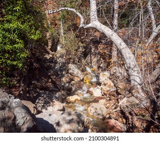 Calming Creek At Solstice Canyon, Malibu