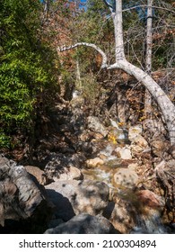 Calming Creek At Solstice Canyon, Malibu