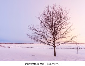 Charlottetown Imagenes Fotos De Stock Y Vectores Shutterstock