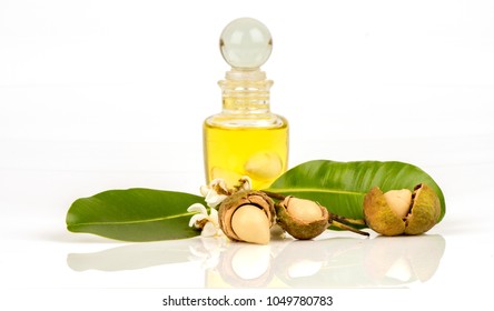 370 Calophyllum inophyllum Images, Stock Photos & Vectors | Shutterstock