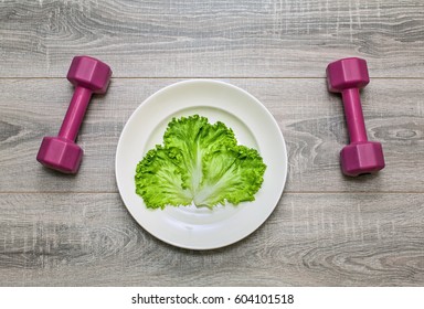 Calorie Restriction or Exercise