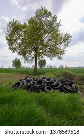 Calvatone (Cr), Italy, Some Abandoned Tires In A Agricuktural Fiekd In The Floodplain Of The Oglio River