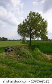 Calvatone (Cr), Italy, Some Abandoned Tires In A Agricuktural Fiekd In The Floodplain Of The Oglio River