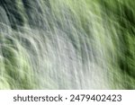 Camargue, France - June 26, 2013: Waving green grass in France