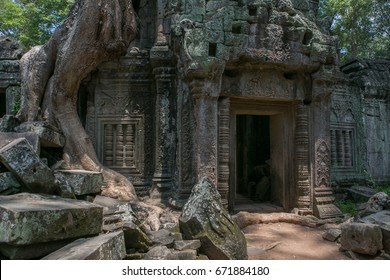 Cambodia temples Angkor Wat trees