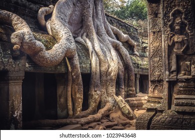 Cambodia travel icon banyan roots in Angkor wat temple Ta Prohm from Lara Croft