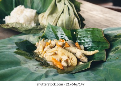 Cambodian Food Takeaway Wrapped In Eco-friendly Lotus Leaf Packaging