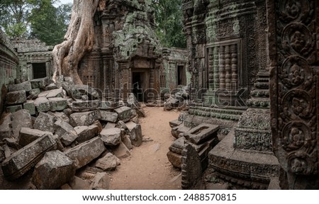 Cambodian Temple of Ta Prohm, also known as the Tomb Raider Temple. Evocatively quiet and lost in the jungle