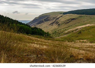 Cambrian Mountains Near Tregaron Wales