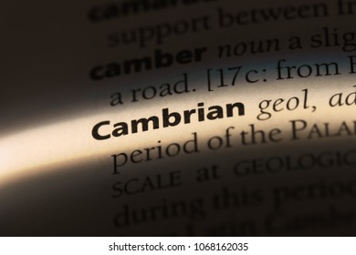 Cambrian Word In A Dictionary. Cambrian Concept.