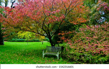 Cambridge Botanic Gardens, Colorful Autumn